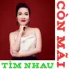 Mỹ Linh - Còn Mãi Tìm Nhau